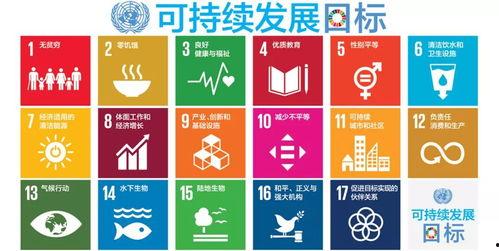 奥园集团爆料新闻最新,揭秘企业转型背后的故事与挑战  第1张